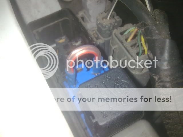 Photo038.jpg