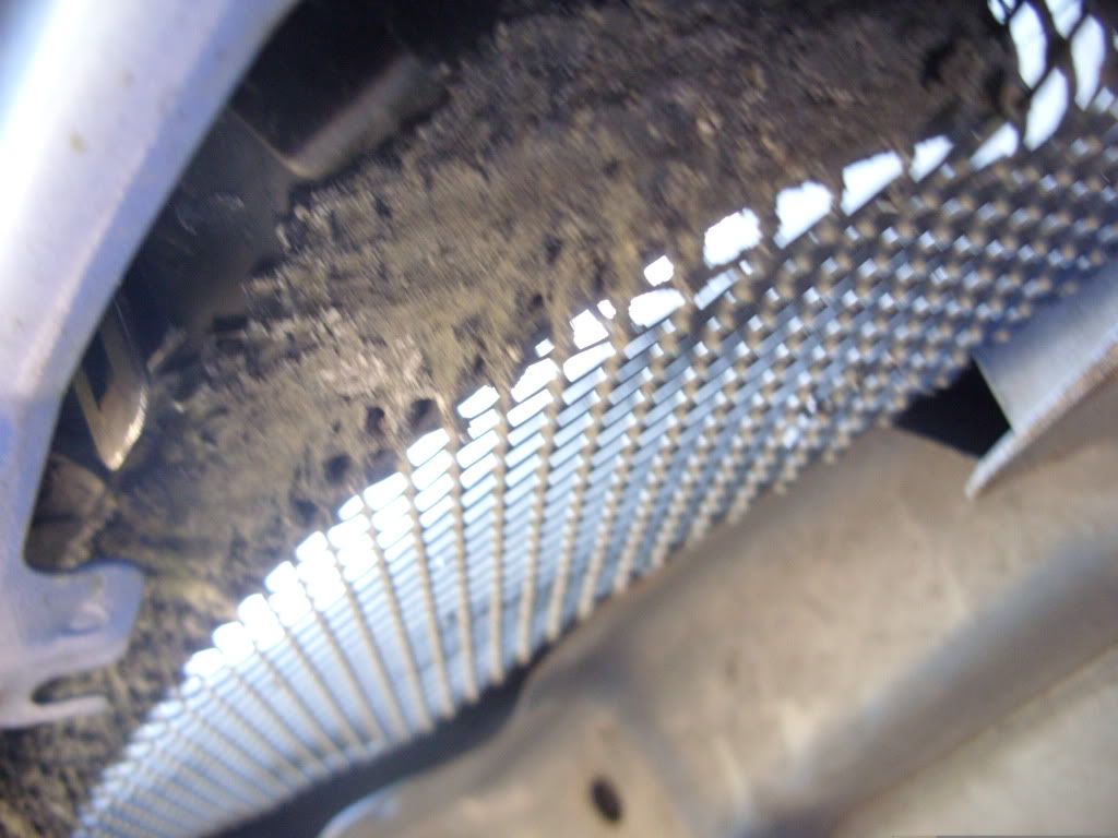 SDC11567.jpg