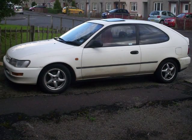 rolla-1.jpg