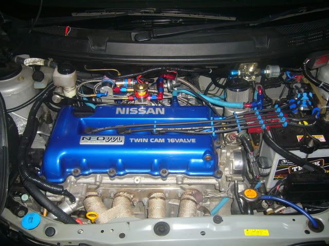 P1000890.jpg