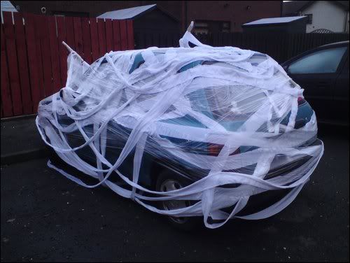 toiletpaperdmicra1.jpg