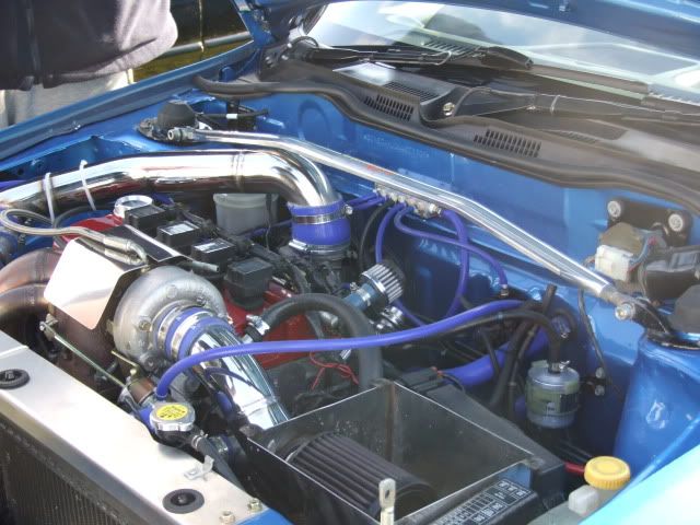 DSCF5384.jpg