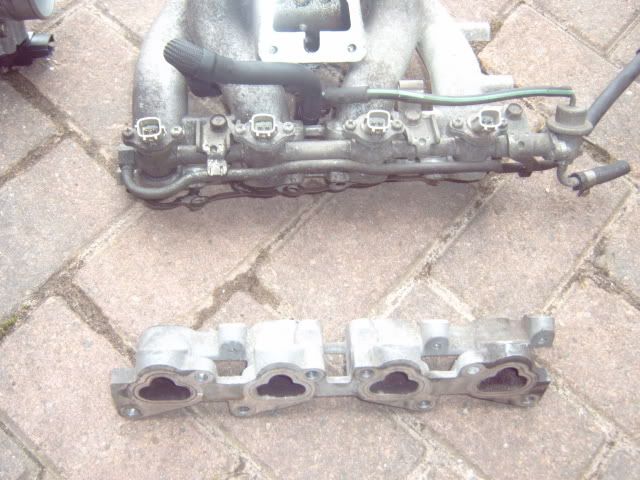 IMG00008.jpg