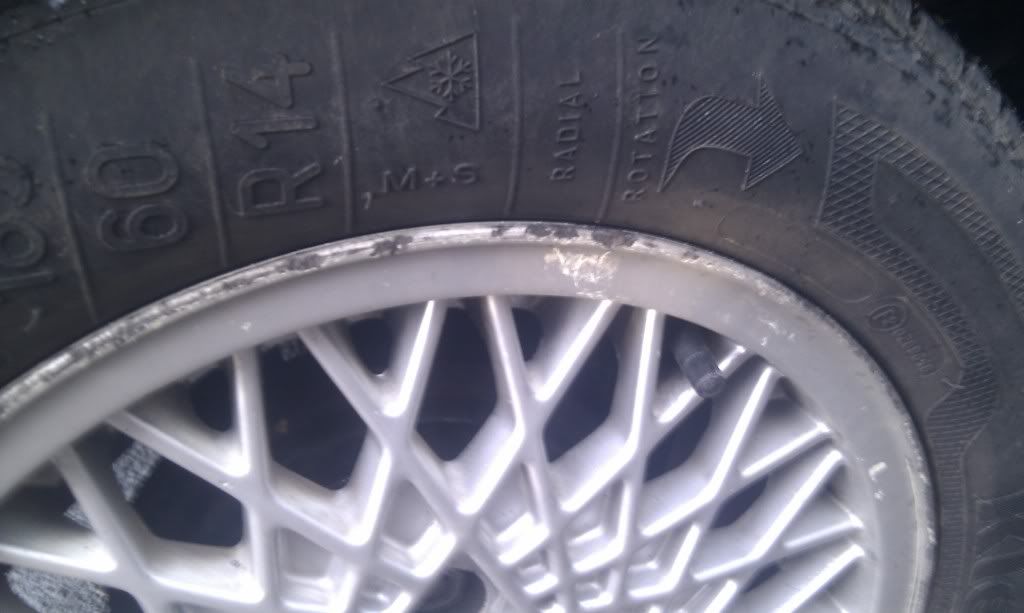 IMAG0728.jpg