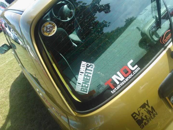 micra8.jpg