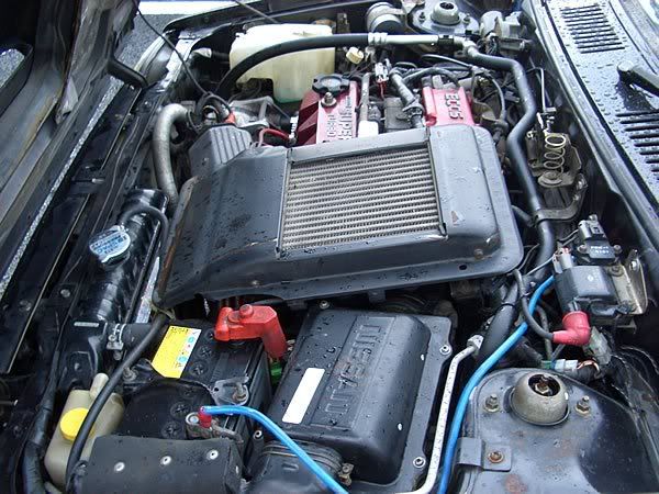 600CIMG7095.jpg