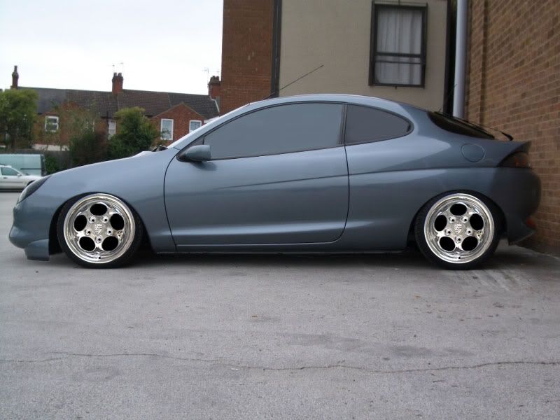 tigra.jpg