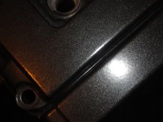 DSC00556.jpg