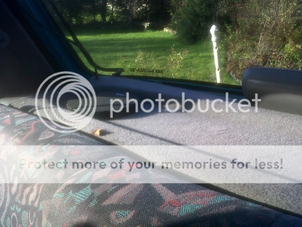 IMG00878-20121123-1102.jpg