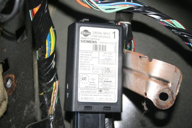 IMG_4538Medium.jpg