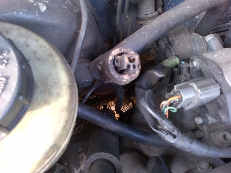 IMG-20111102-00052.jpg