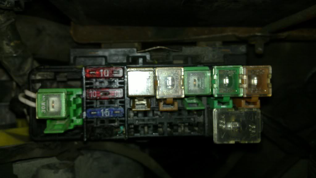 20100824_003.jpg
