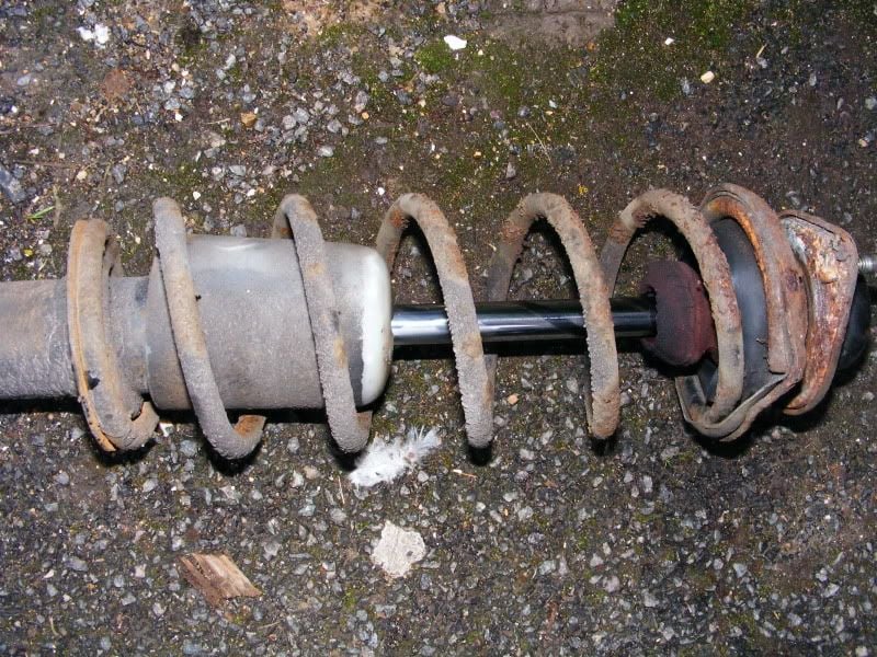 Micra48.jpg