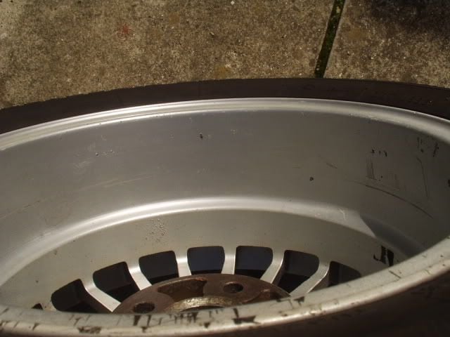 P1010015-1.jpg