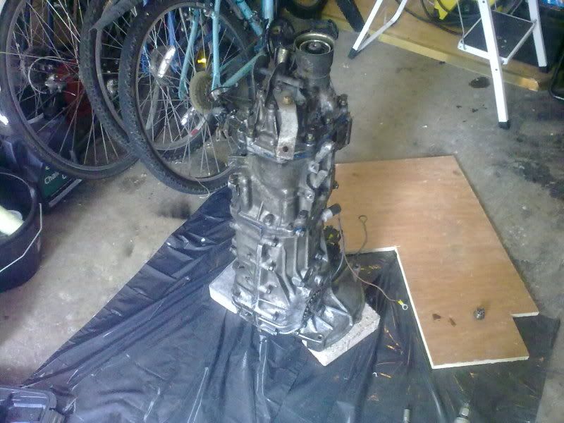 23032012113.jpg