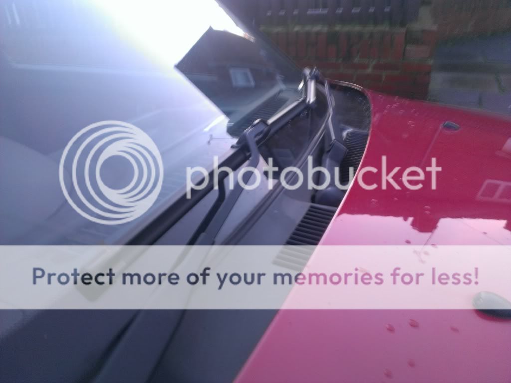 IMAG0182_zpsc3d8739b.jpg