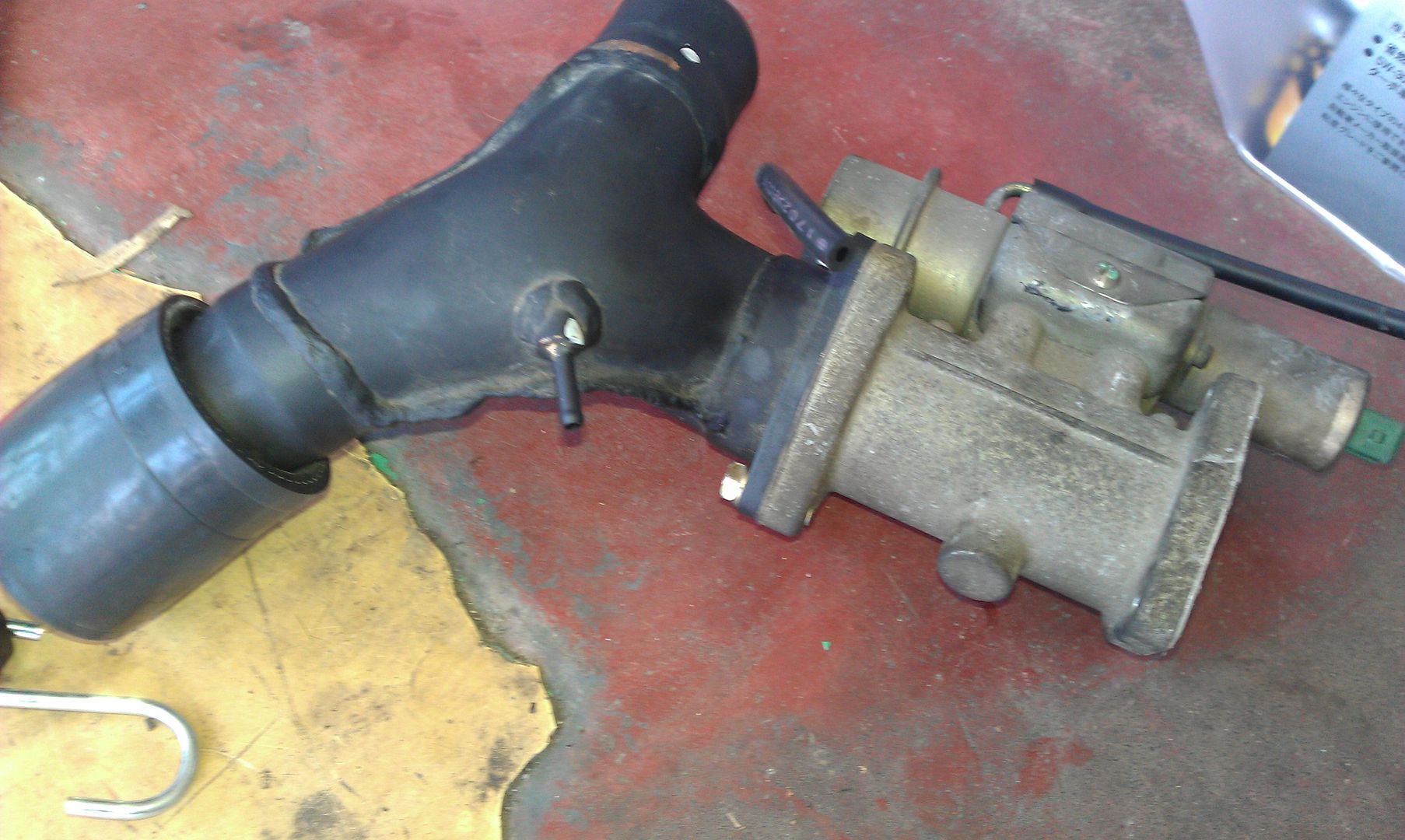 IMAG0572.jpg