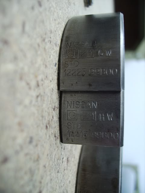 IMG_0049-3.jpg