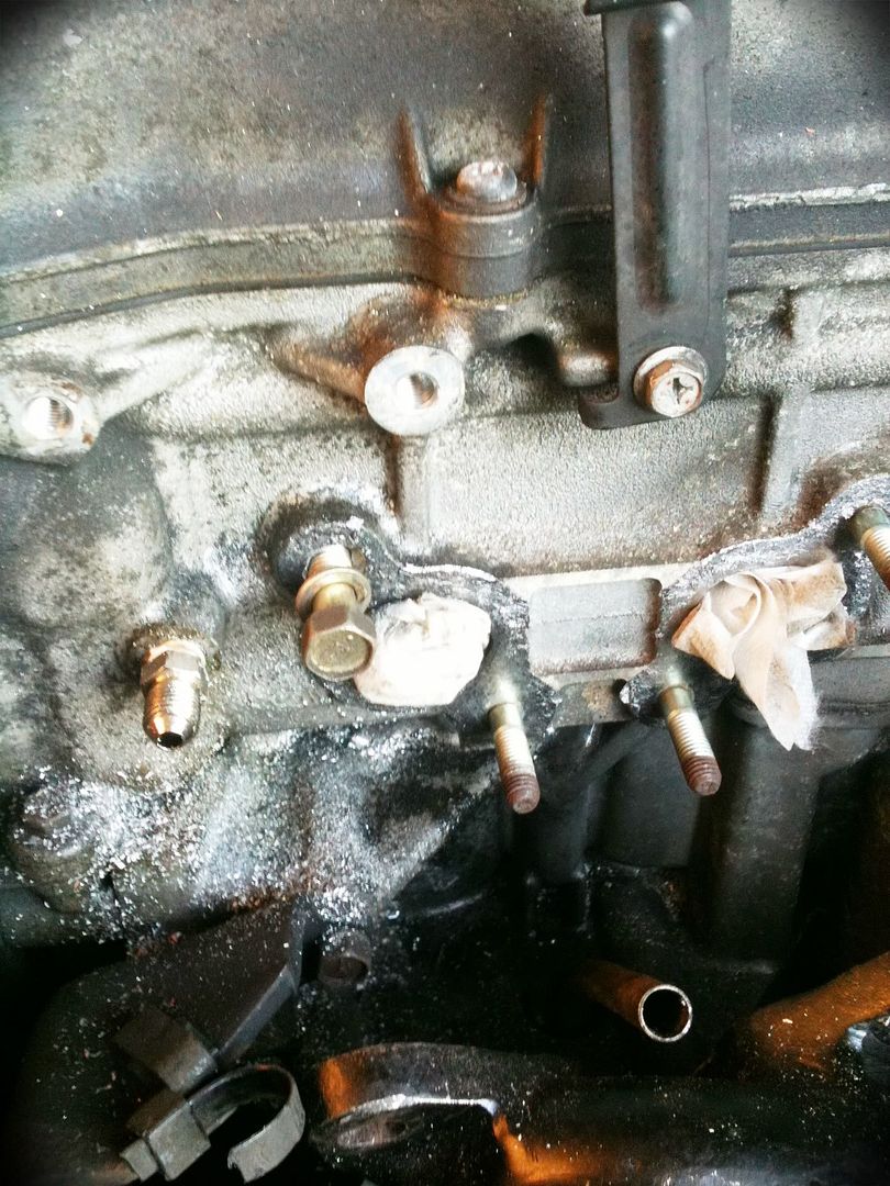 3f491bb1.jpg