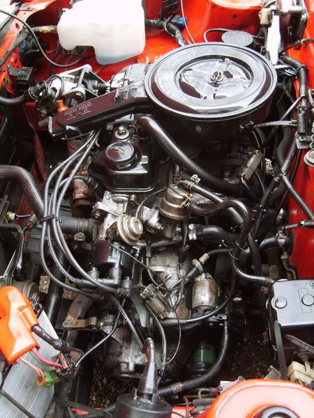 J203KGB-083.jpg