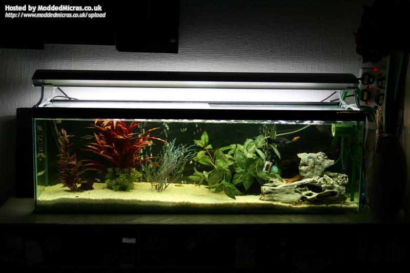 1-tank(light).jpg