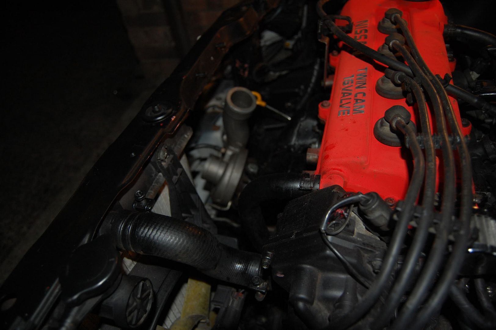 DSC_3538.jpg