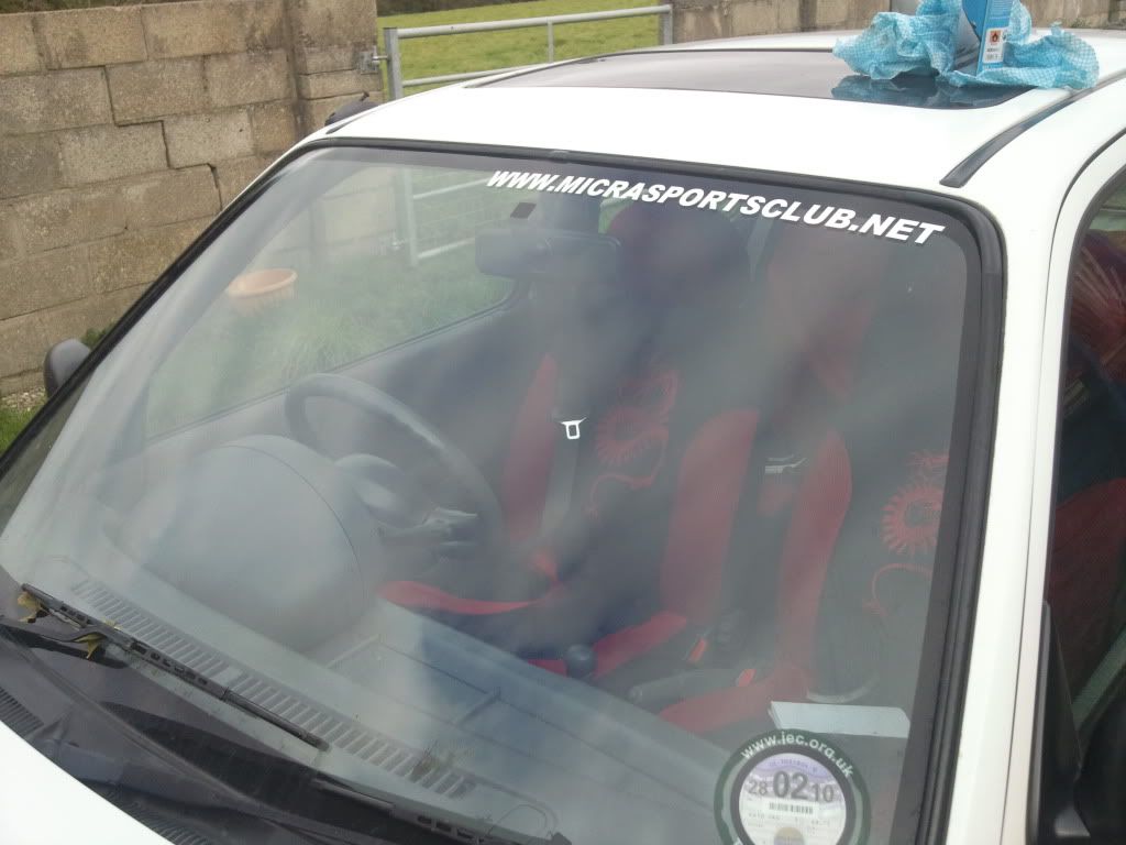 micra3.jpg