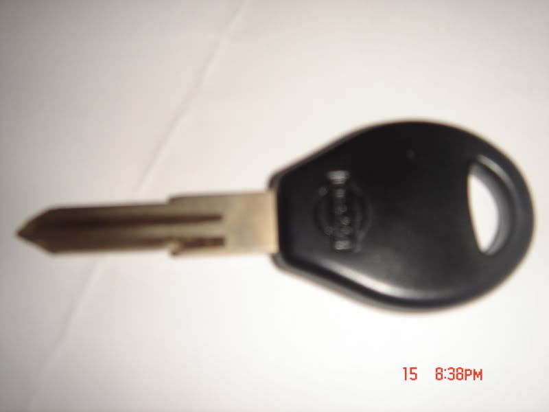 DSC09956.jpg