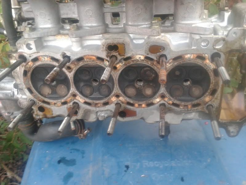 2012-03-14164703.jpg