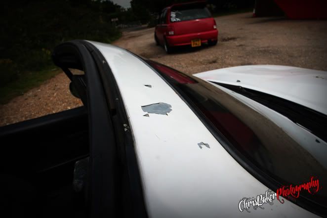 IMG_2770.jpg