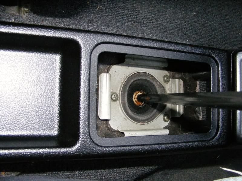 Micra4.jpg