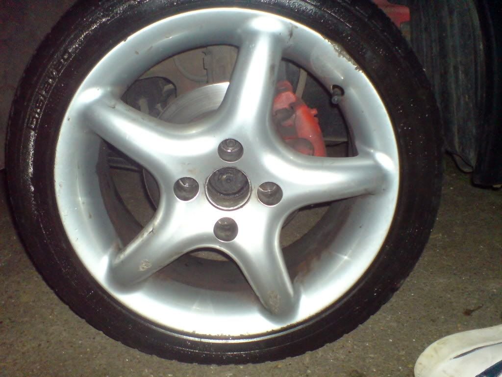 DSC00666.jpg