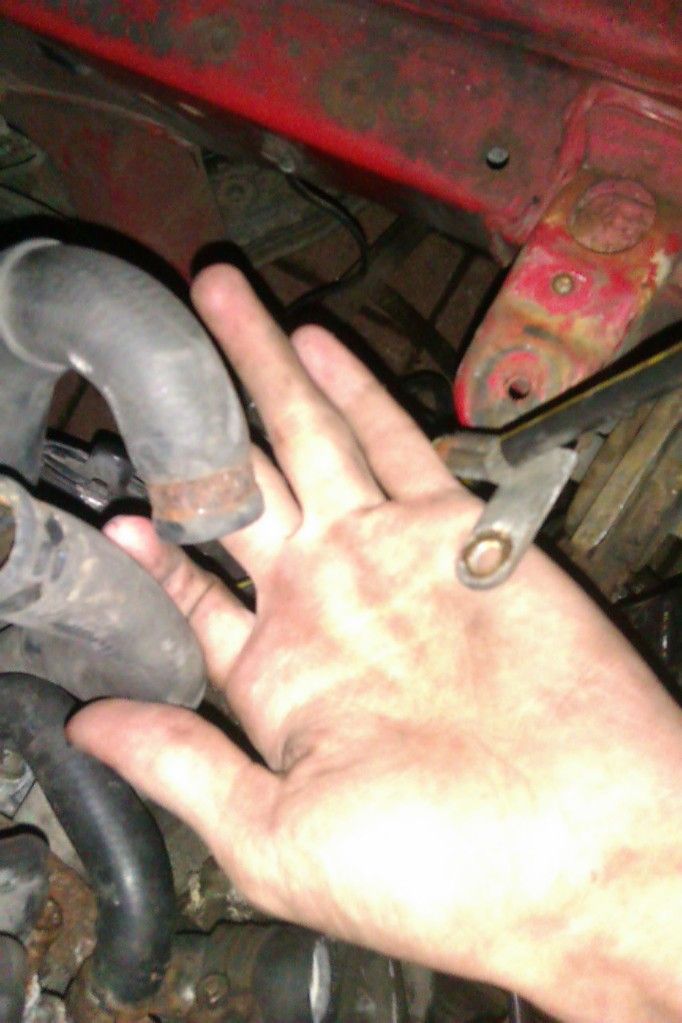 IMAG0319_zps005281a9.jpg