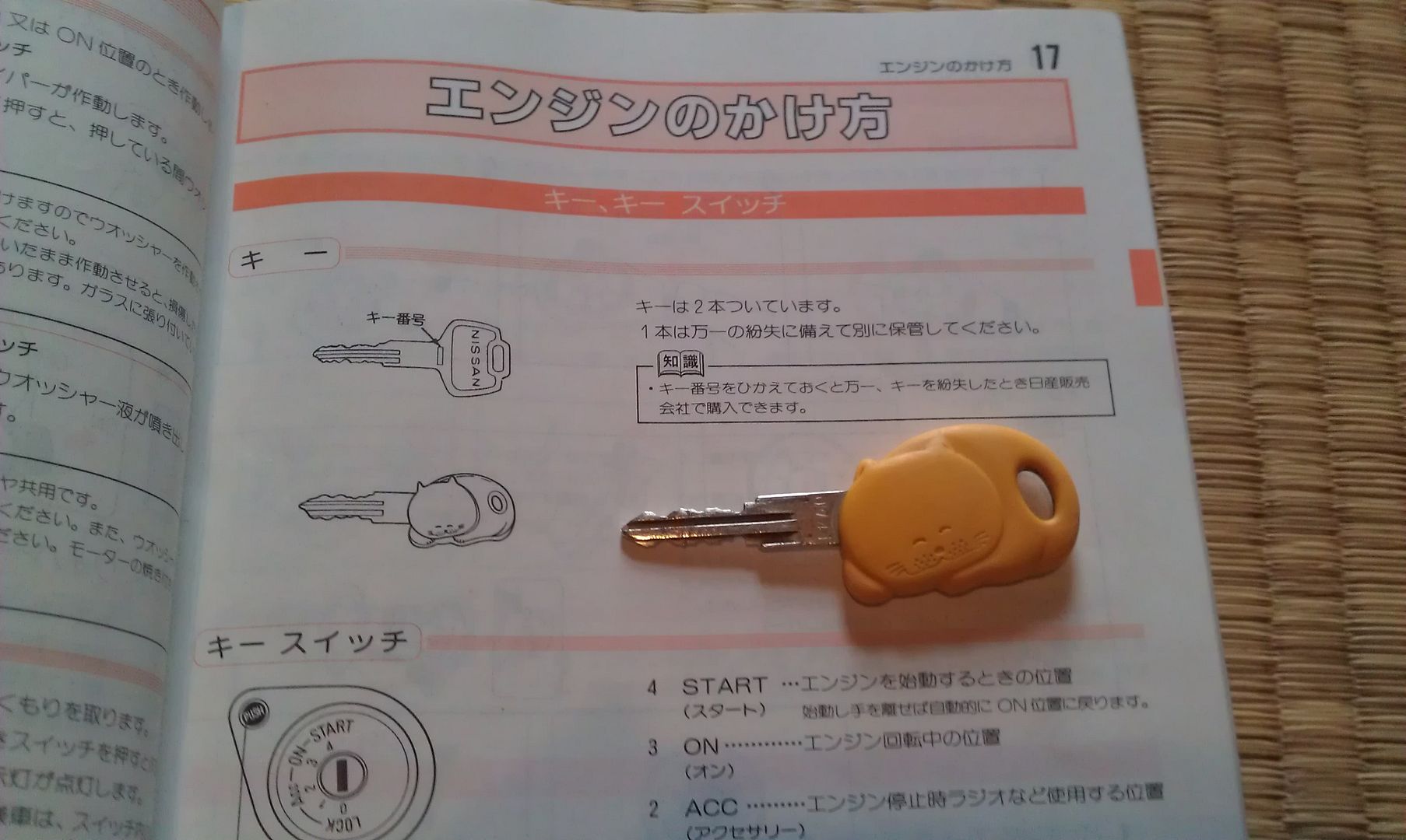 IMAG0497.jpg