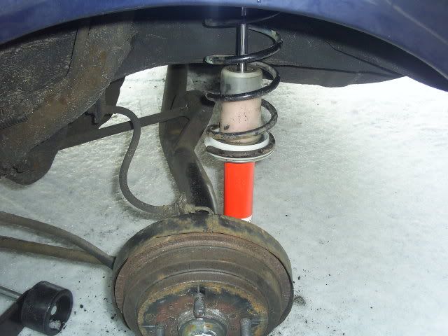 SUC50533.jpg