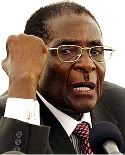 robert_mugabe.jpg