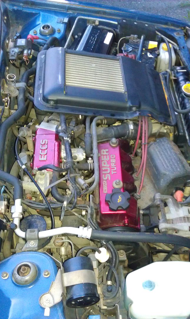 IMAG0485.jpg
