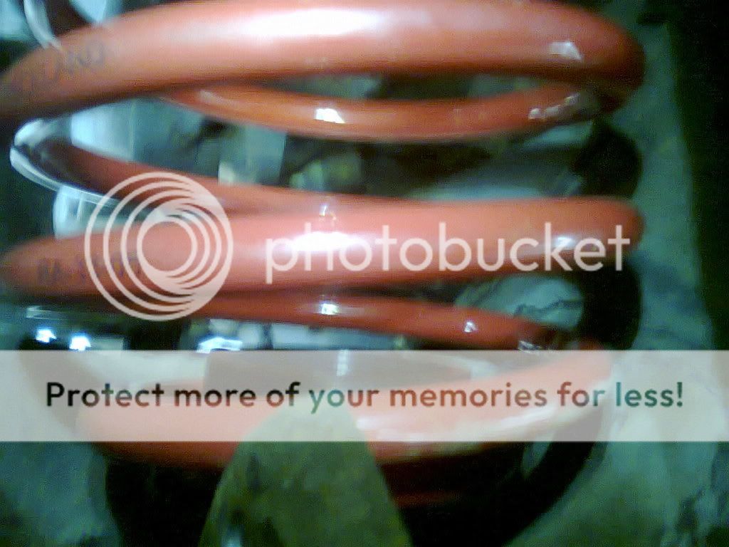 Photo0180.jpg