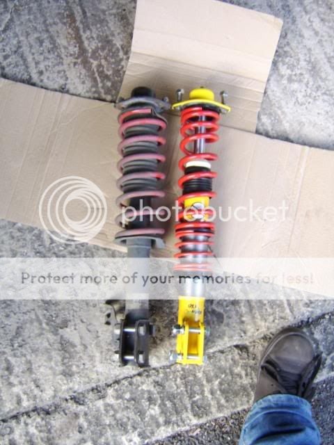 Coilys15.jpg