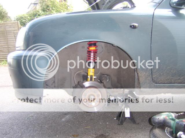 Coilys19.jpg