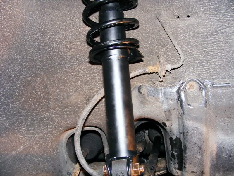 Micra53.jpg