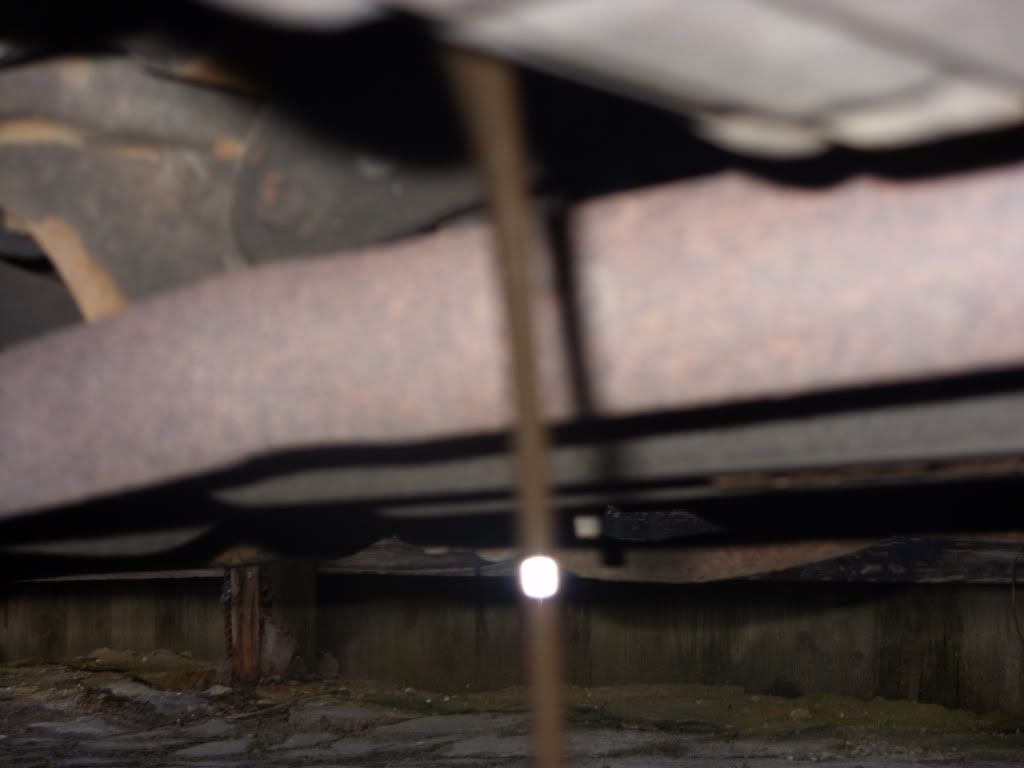 SDC11550.jpg