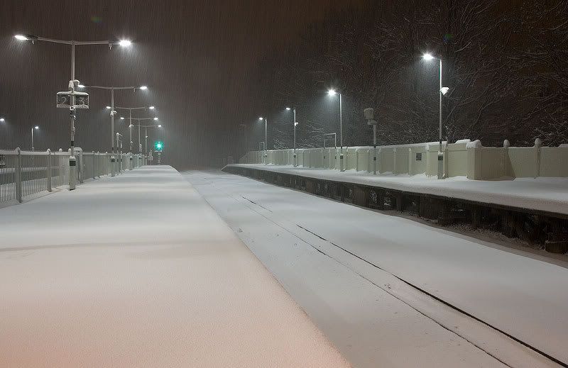 snowwwpt2.jpg