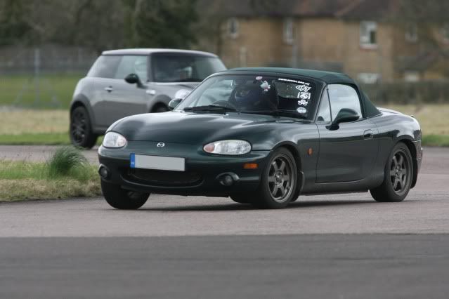 nikicorner2plate.jpg