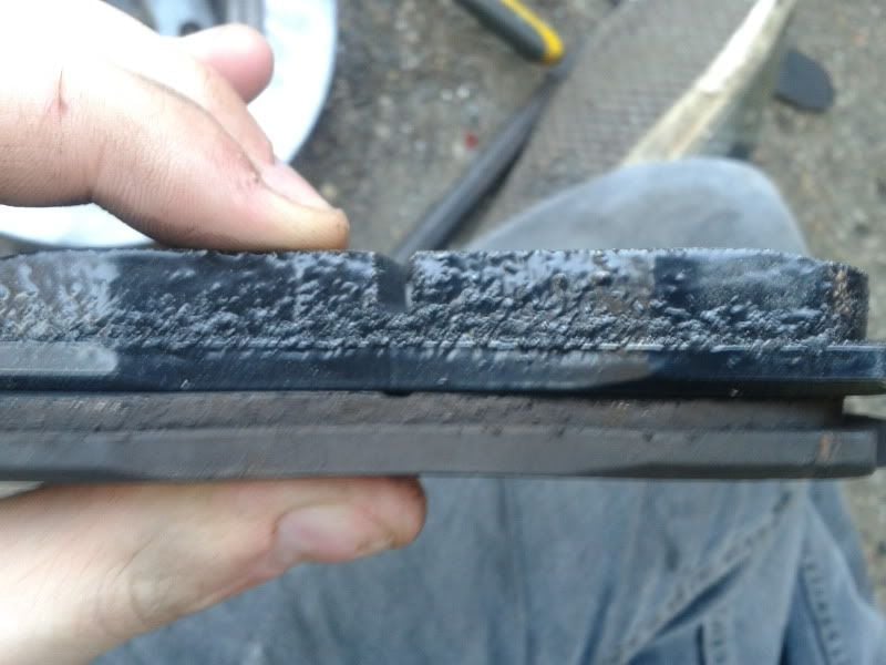 2012-02-01150530.jpg