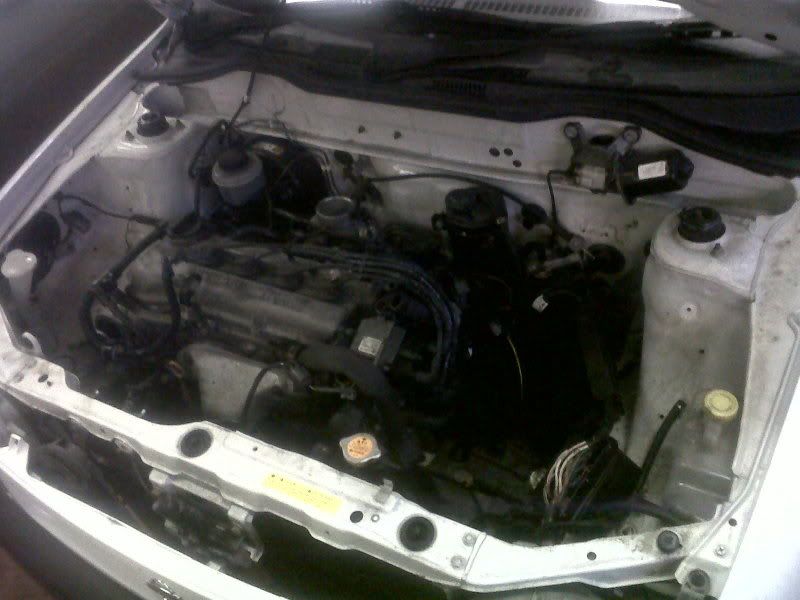 IMG00253-20111210-0907-1.jpg