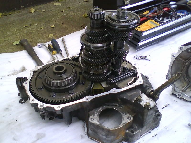 DSC00058-1.jpg