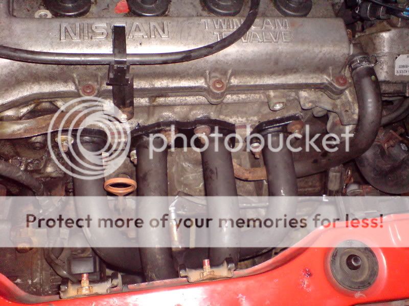 DSC00427.jpg