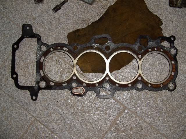 PICT2678.jpg
