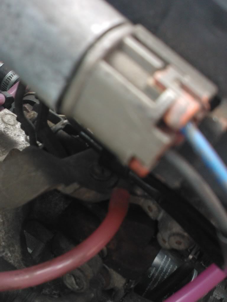 temporary_zps83765399.jpg